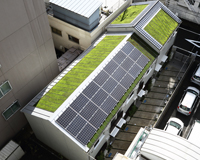 �W���Z��